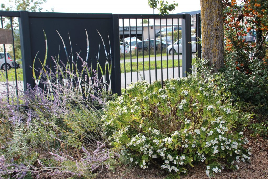 Aménager un espace extérieur à l’abri des regards
