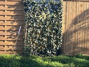 Aménager un espace extérieur à l’abri des regards