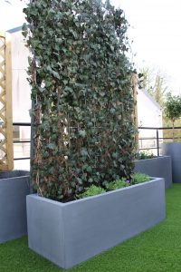 Aménager un espace extérieur à l’abri des regards